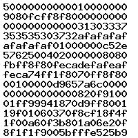 0281032456 10SW011510