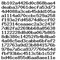 04L907309K 1037023213