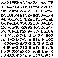 0281018510 1037533833
