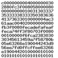 0281018510 1037533833