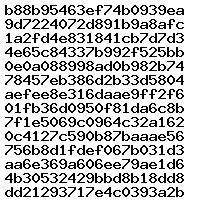 0281031066 1037555405