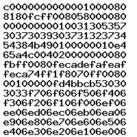 0281031066 10SW070907