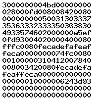 0281015029 1037563233
