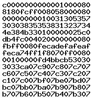0281030462 10SW008558